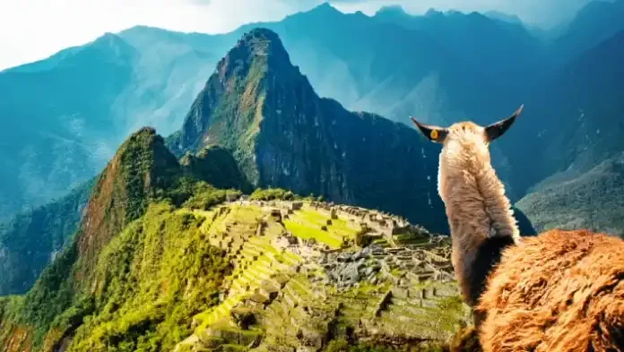 Consejos esenciales para tu tour en Machu Picchu