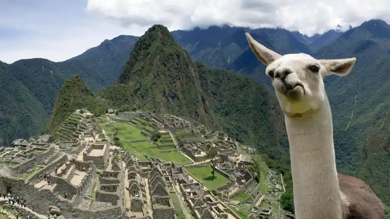 Los mejores tours al Camino Inca