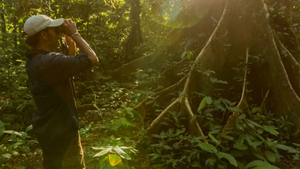 persona viendo el paisaje de Tambopata
