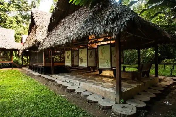 Cabañas en Puerto Maldonado