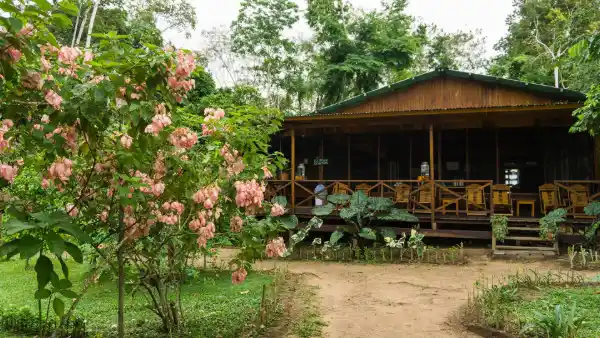 cabaña en el bosque de Tambopata