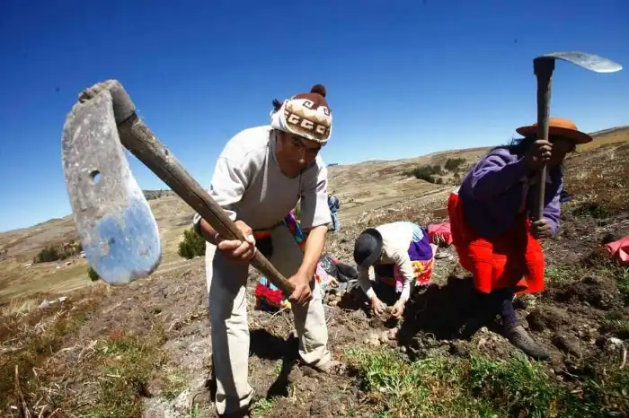 Día del Campesino en Perú qué es, cómo se celebra y dónde vivirlo en junio