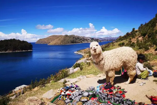 fauna en Puno