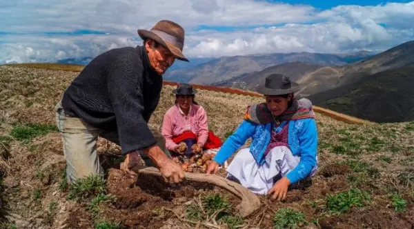 familia campesina trabajando